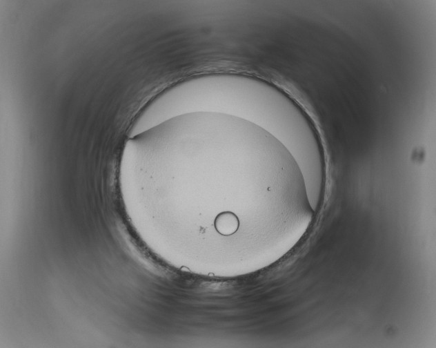 X0000112950057200910051228