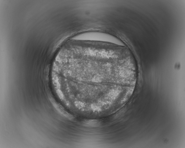 X0000112950058200910051228