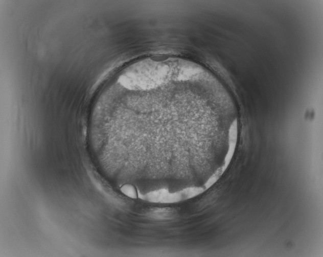 X0000112950059200910051228