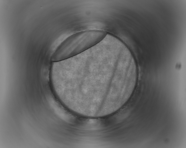 X0000112950060200910051228