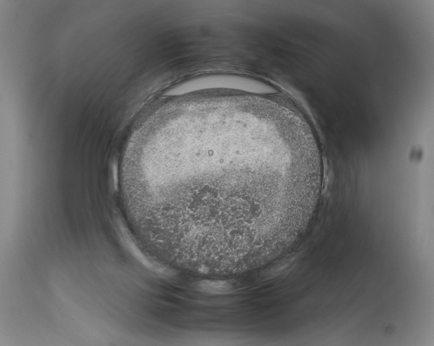 X0000112950061200910051228
