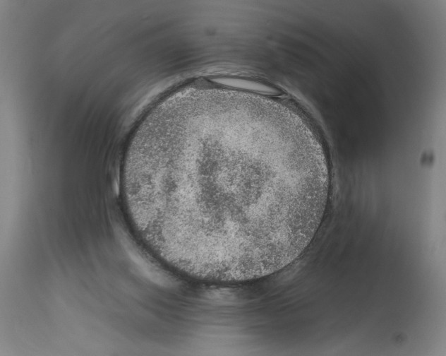 X0000112950062200910051228