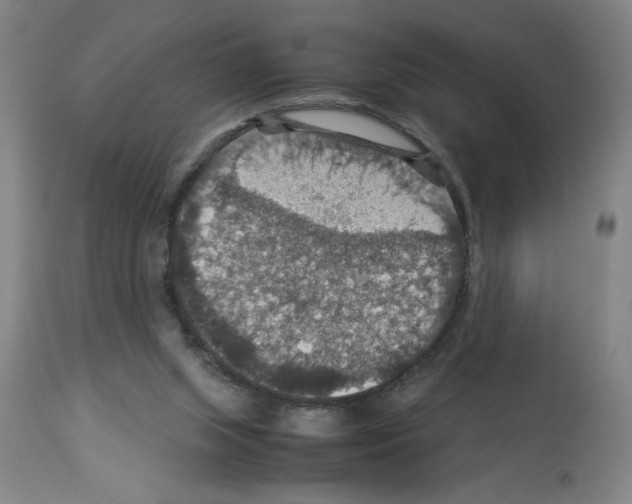 X0000112950063200910051228