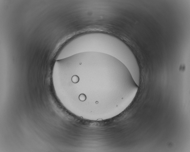 X0000112950064200910051228