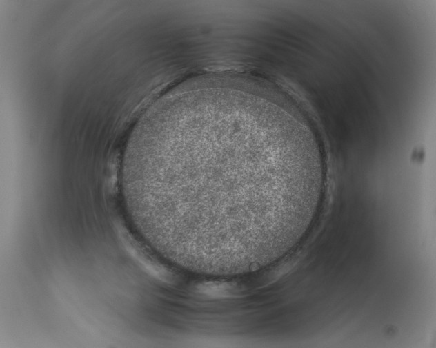 X0000112950065200910051228