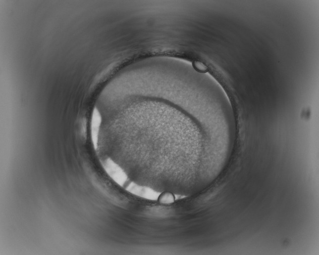X0000112950067200910051228