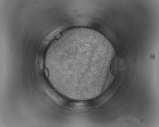 X0000112950068200910051228