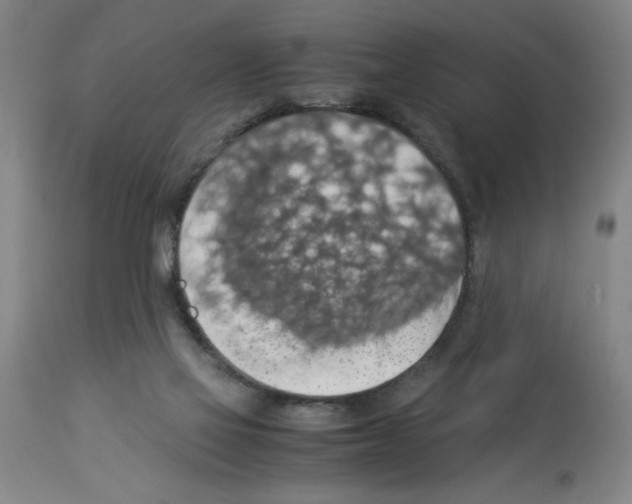 X0000112950069200910051228