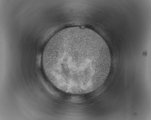 X0000112950070200910051228