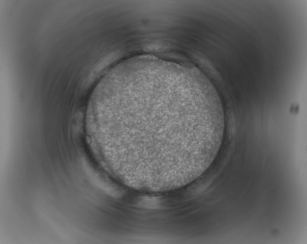 X0000112950071200910051228