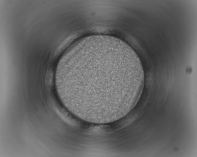 X0000112950072200910051228