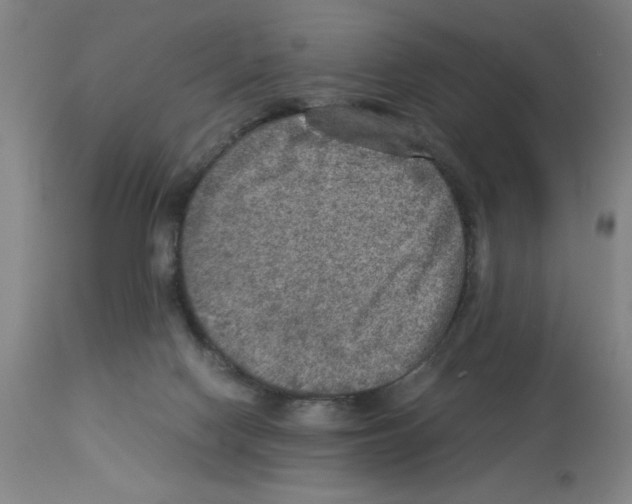 X0000112950074200910051228