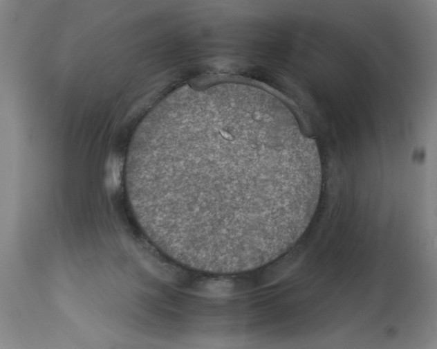 X0000112950075200910051228