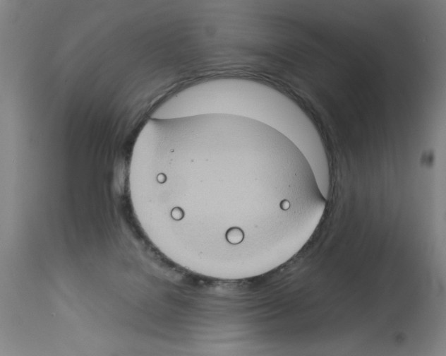X0000112950076200910051228