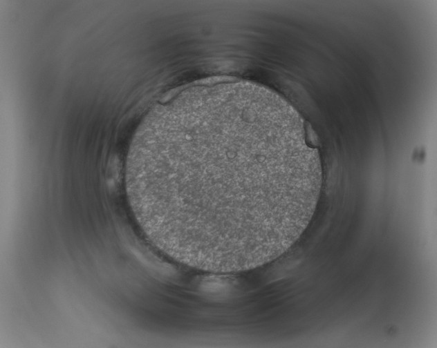 X0000112950077200910051228