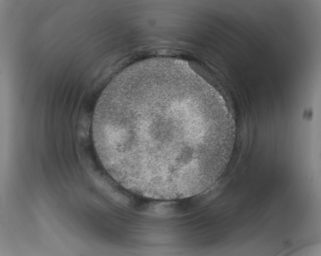 X0000112950078200910051228
