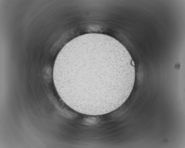 X0000112950079200910051228