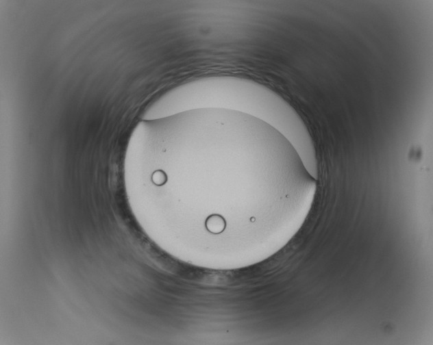 X0000112950080200910051228