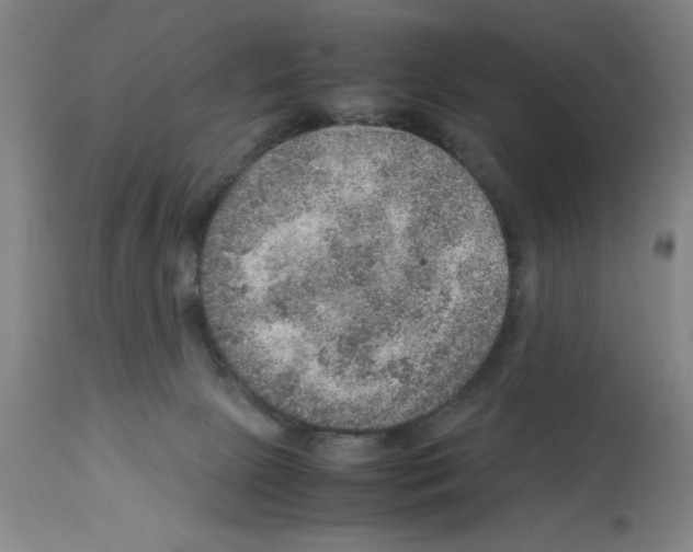 X0000112950081200910051229