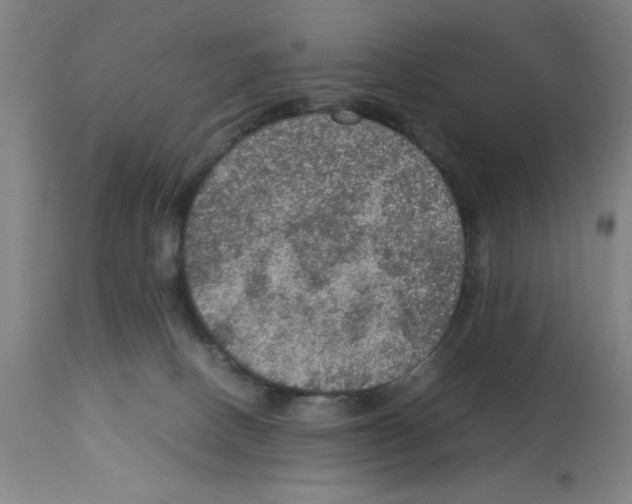 X0000112950082200910051229