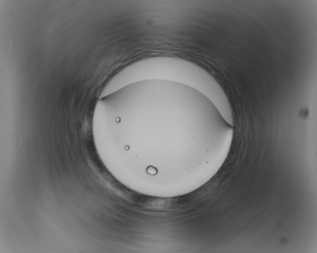 X0000112950084200910051229