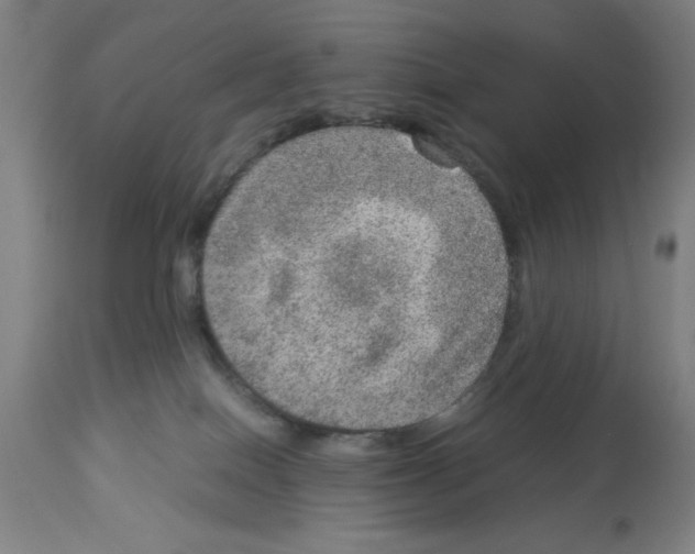 X0000112950086200910051229