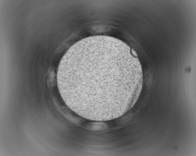 X0000112950087200910051229
