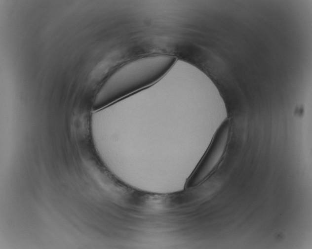 X0000112950088200910051229