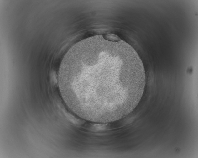 X0000112950089200910051229