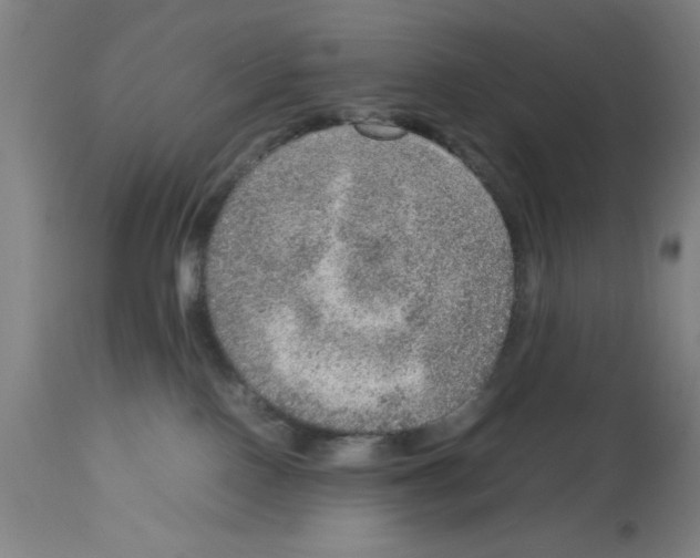 X0000112950090200910051229