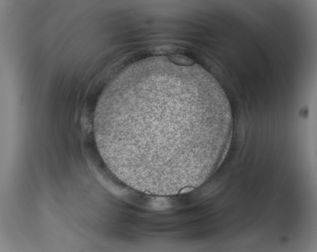 X0000112950091200910051229