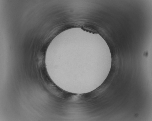 X0000112950092200910051229