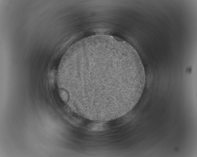 X0000112950093200910051229