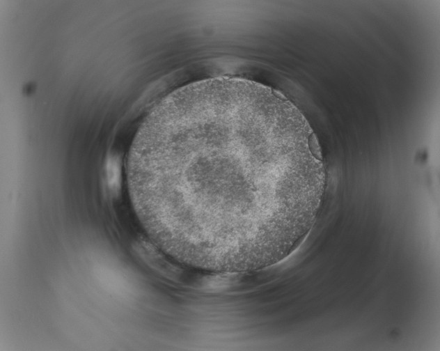 X0000112950094200910051229
