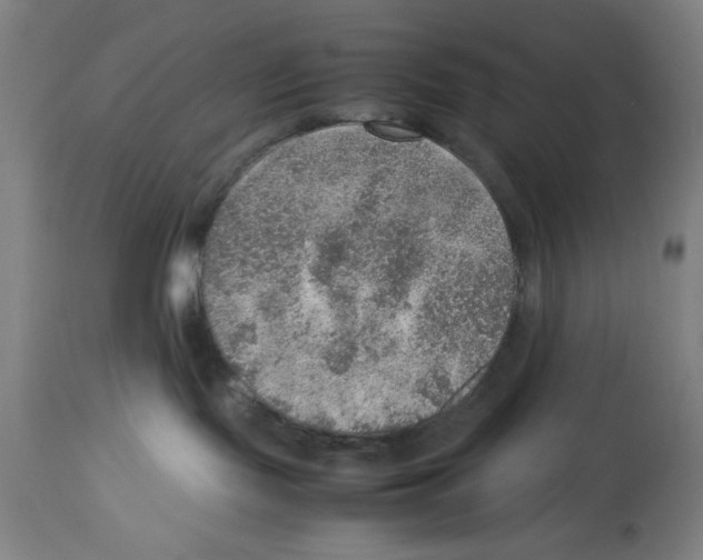 X0000112950095200910051229