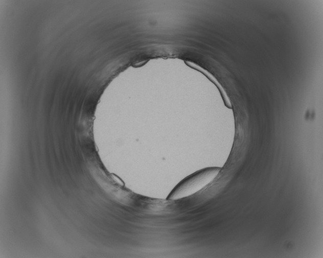 X0000112950096200910051229