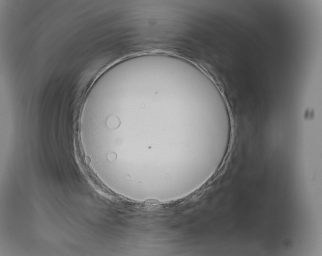 X0000112950097200910051228