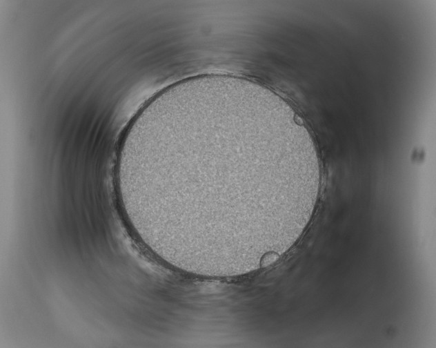 X0000112950098200910051228
