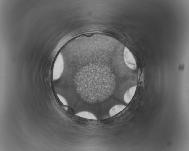 X0000112950099200910051228