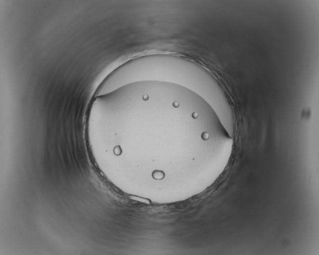 X0000112950100200910051228