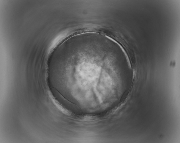X0000112950101200910051228
