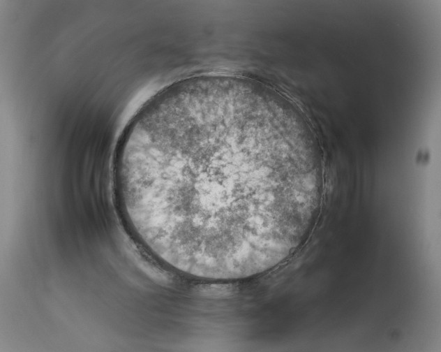 X0000112950102200910051228