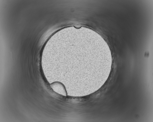 X0000112950103200910051228