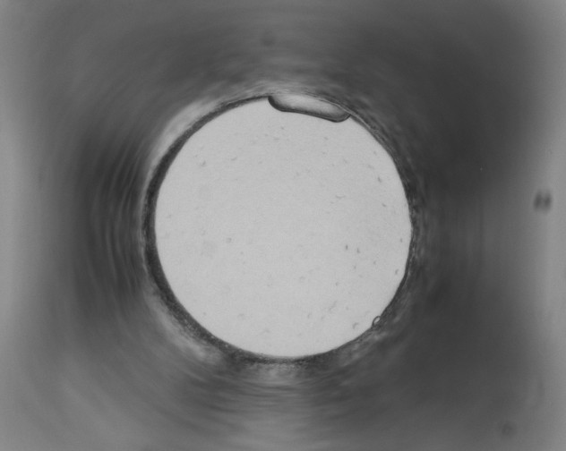 X0000112950104200910051228