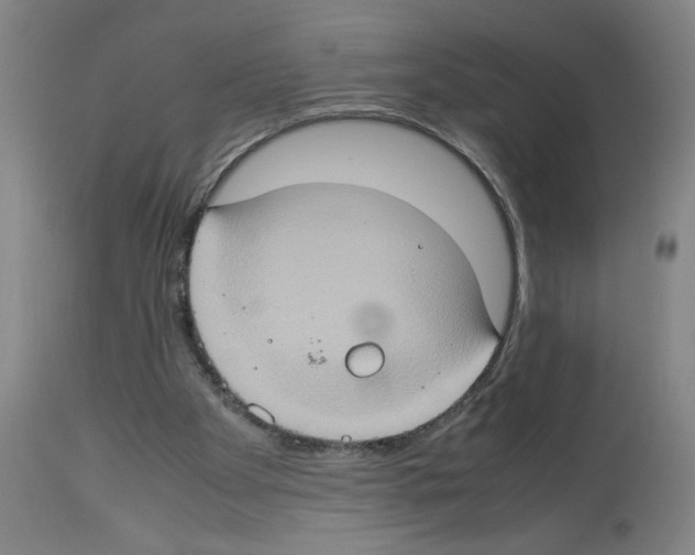 X0000112950105200910051228
