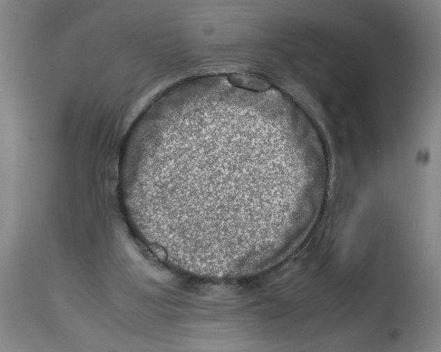 X0000112950107200910051228