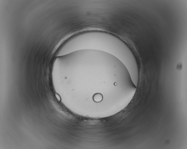 X0000112950108200910051228