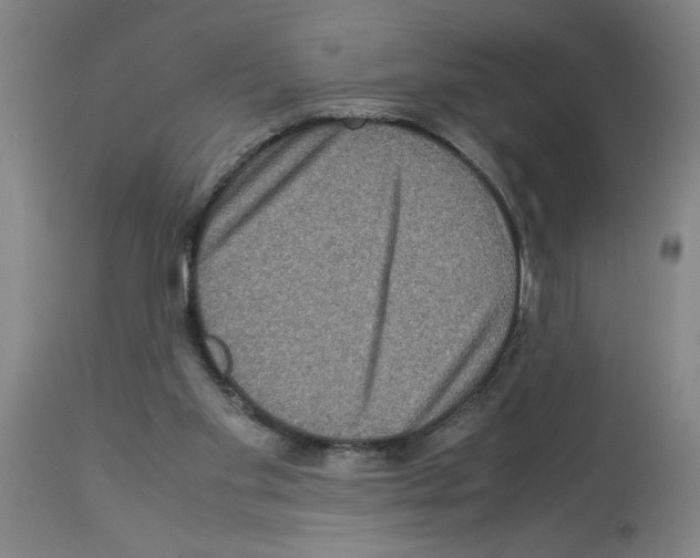X0000112950109200910051228