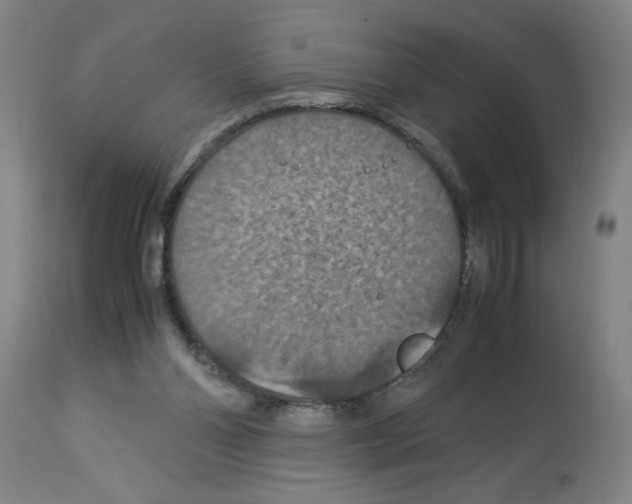 X0000112950110200910051228