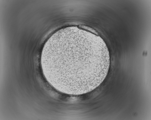 X0000112950111200910051228